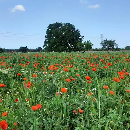 Masseria Ai Pioppi *