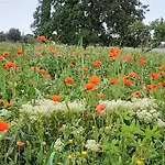 アパート Masseria Ai Pioppi *