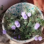 Masseria Ai Pioppi Putignano
