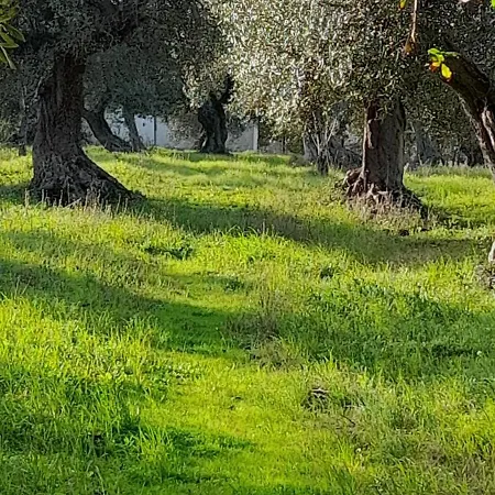 Masseria Ai Pioppi