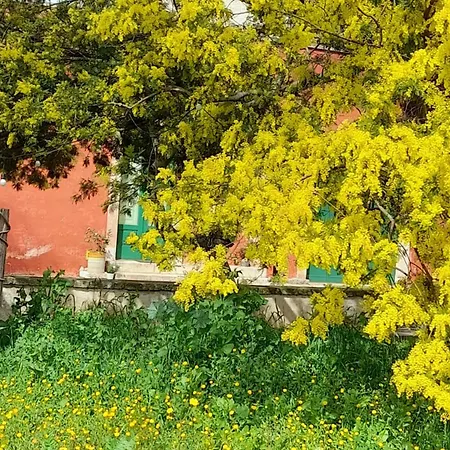 Masseria Ai Pioppi Apartment Putignano