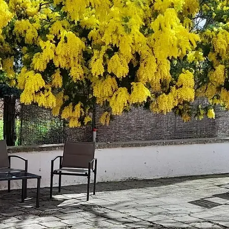 Masseria Ai Pioppi Daire *