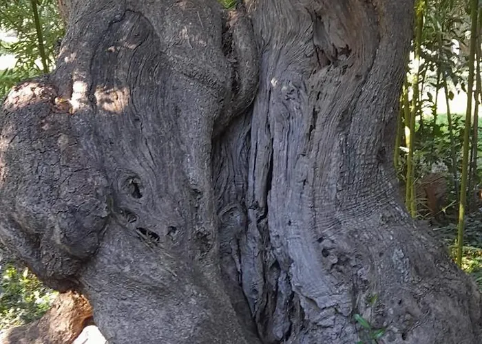 דירה Masseria Ai Pioppi *