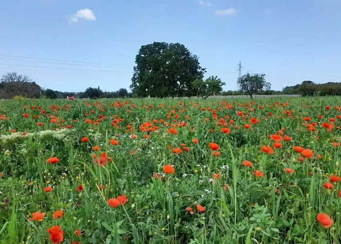 Masseria Ai Pioppi *