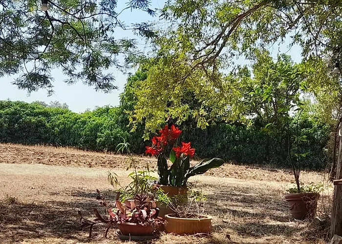 דירה Masseria Ai Pioppi *